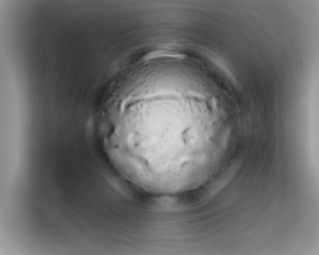 X0000113980265200910091324