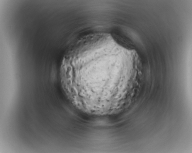 X0000113980266200910091324