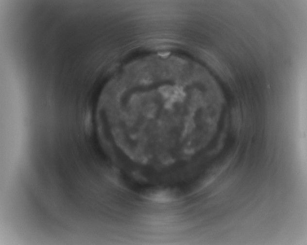 X0000113980267200910091324