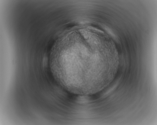 X0000113980269200910091324