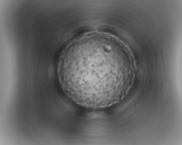 X0000113980270200910091324