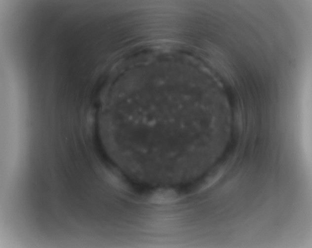 X0000113980271200910091324