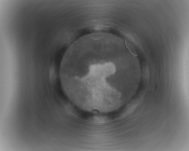 X0000113980272200910091324