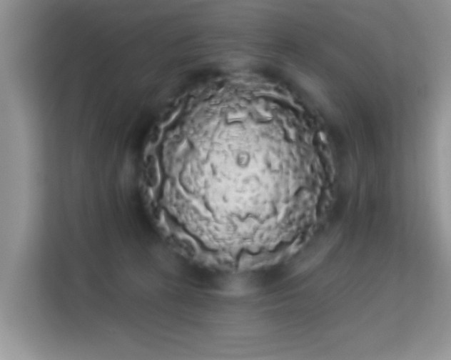 X0000113980273200910091324