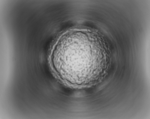 X0000113980274200910091324