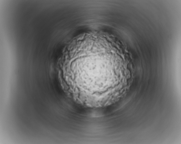 X0000113980275200910091324