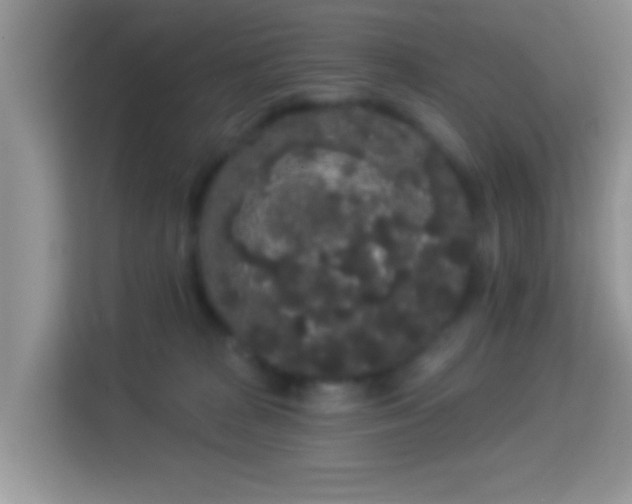 X0000113980277200910091324