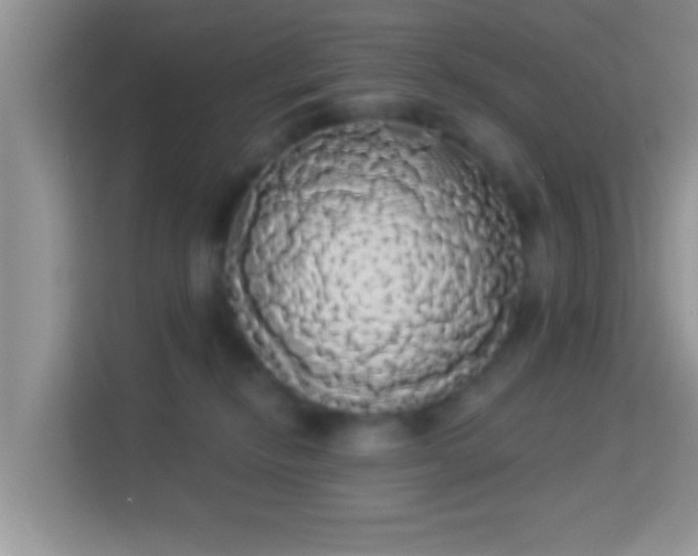 X0000113980278200910091324