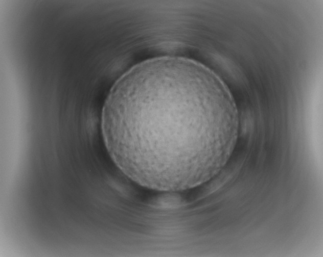 X0000113980279200910091324