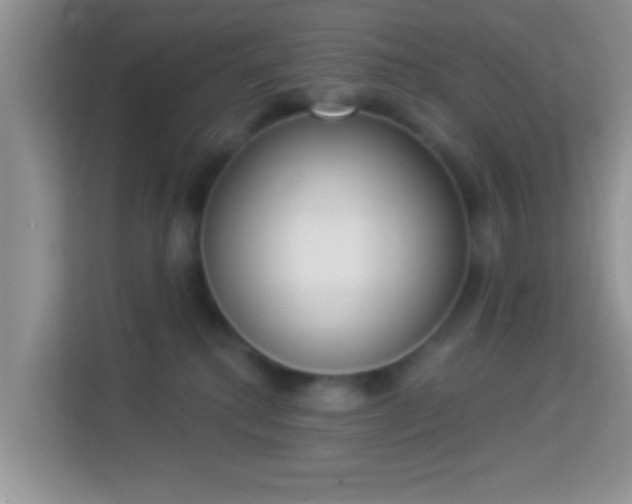 X0000113980280200910091324