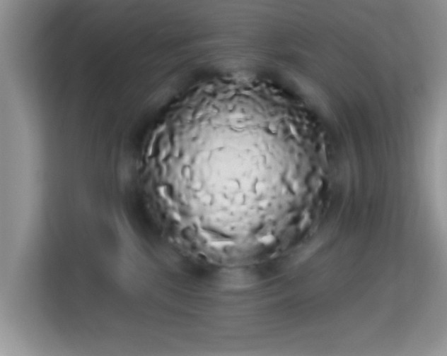 X0000113980281200910091324