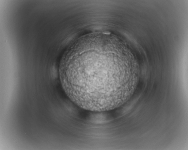 X0000113980282200910091324