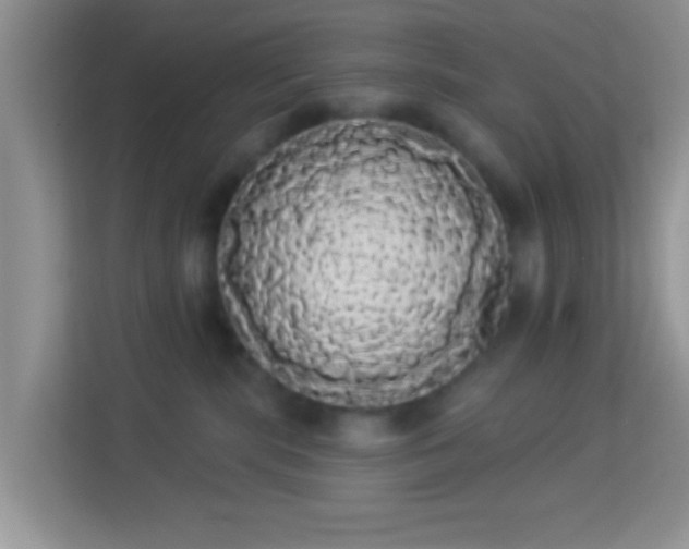 X0000113980283200910091324