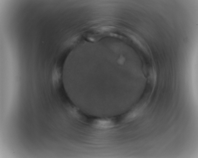 X0000113980284200910091324