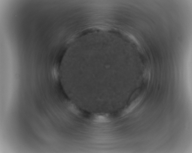 X0000113980285200910091324