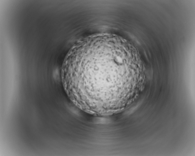 X0000113980286200910091324