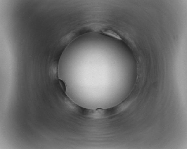 X0000113980288200910091324