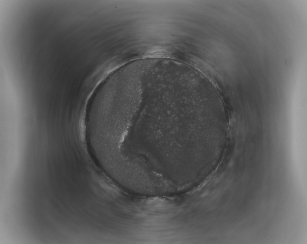 X0000113980290200910091323