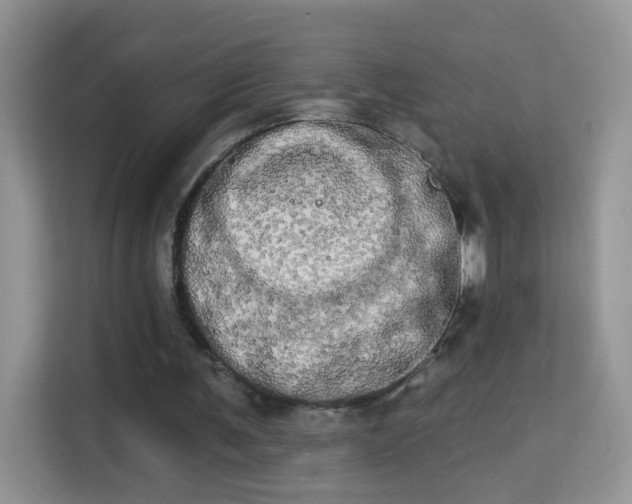 X0000113980291200910091323