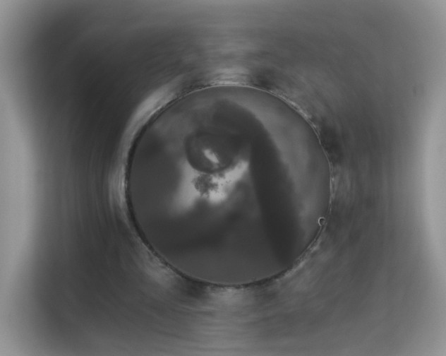 X0000113980293200910091323