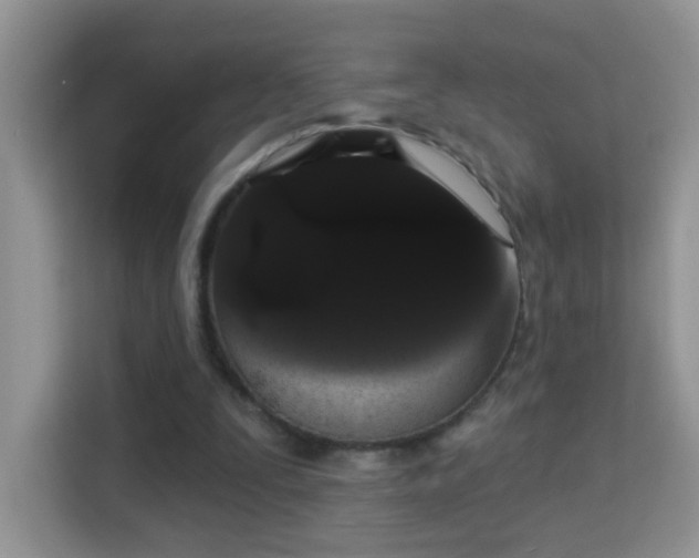 X0000113980295200910091323