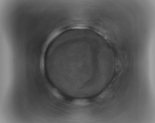 X0000113980296200910091323