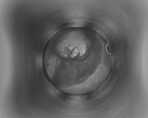 X0000113980297200910091323