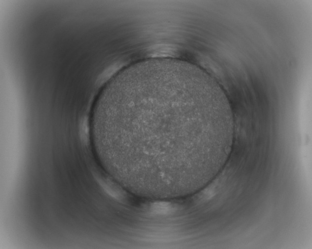 X0000113980298200910091323