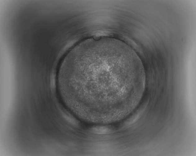 X0000113980299200910091323