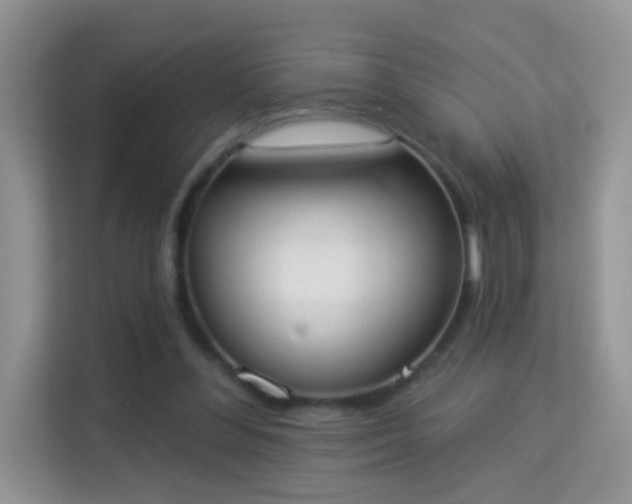 X0000113980300200910091323