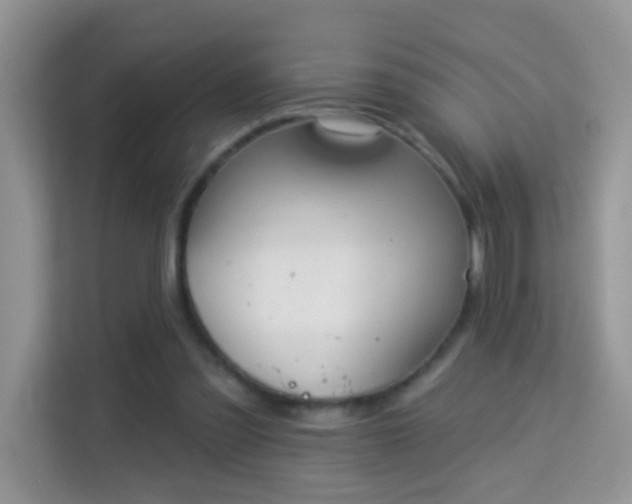 X0000113980301200910091323