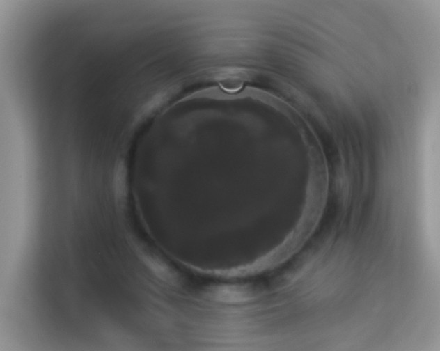 X0000113980303200910091323