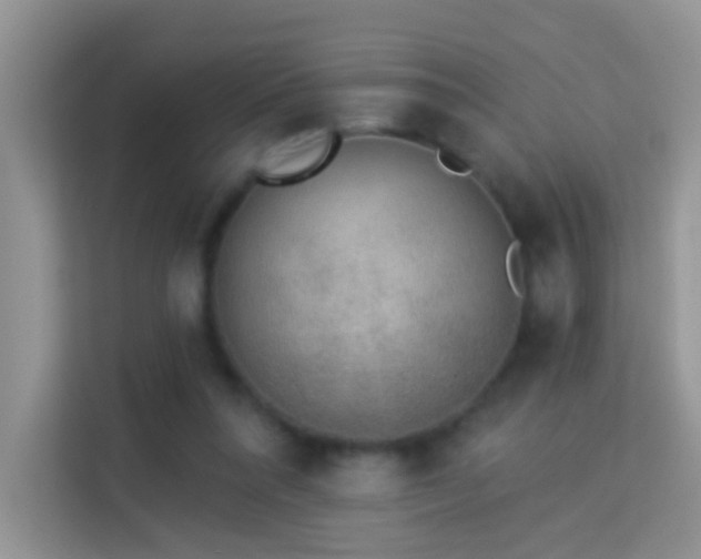 X0000113980304200910091323