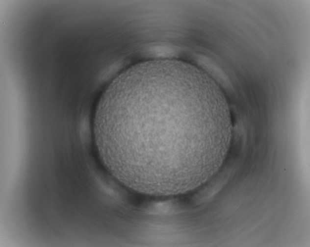 X0000113980306200910091323