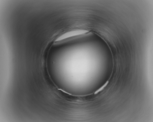 X0000113980308200910091323