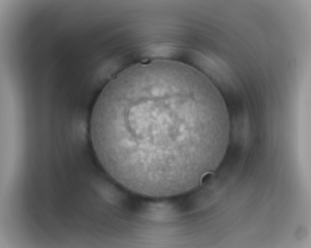 X0000113980309200910091323