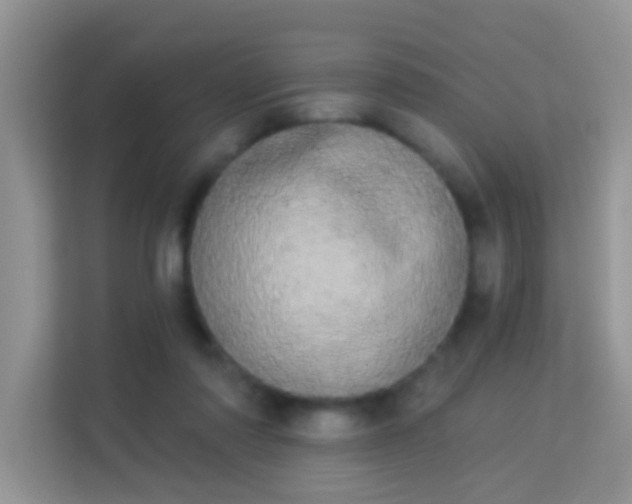 X0000113980310200910091323