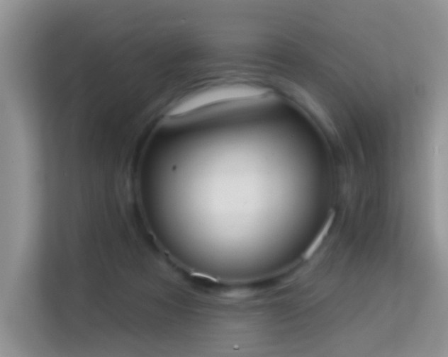 X0000113980313200910091323