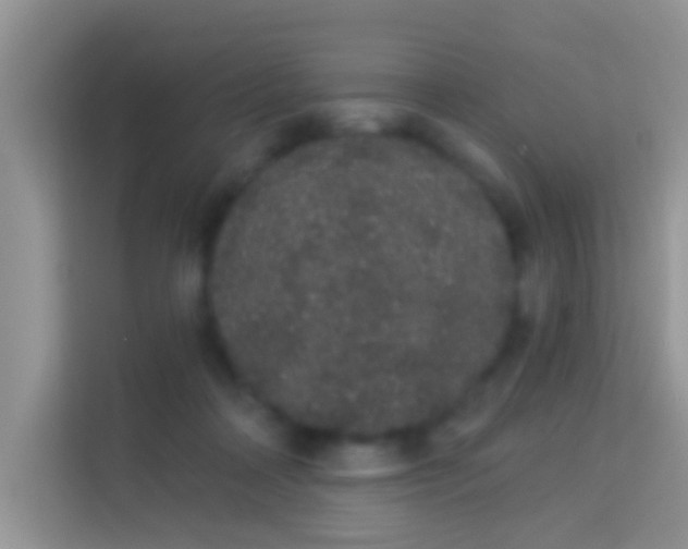 X0000113980314200910091323