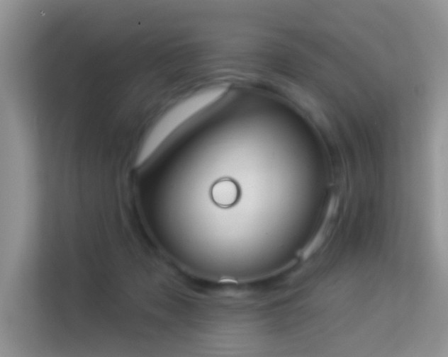 X0000113980317200910091323