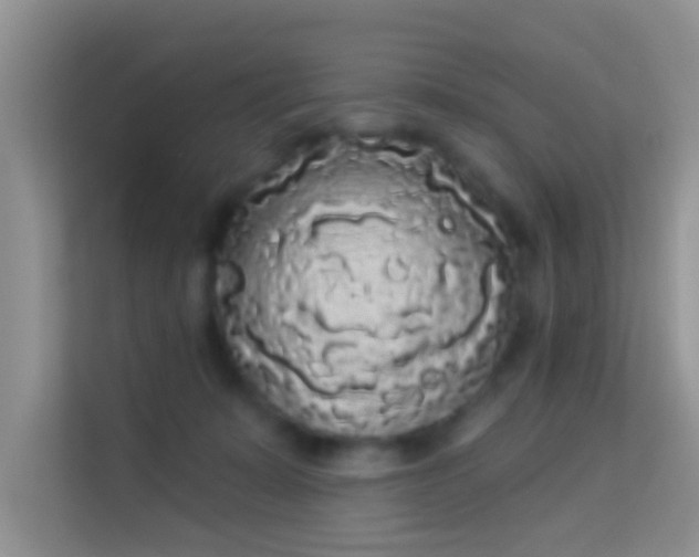 X0000113980319200910091323