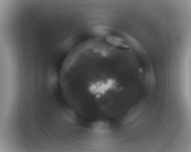 X0000113980320200910091323