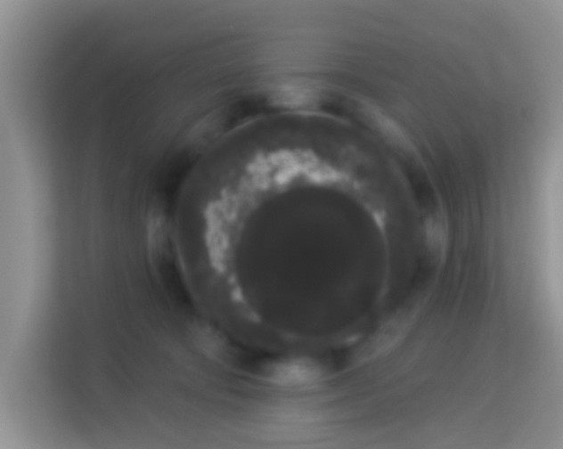 X0000113980322200910091323