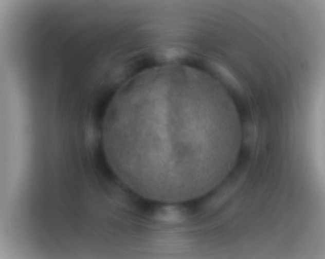 X0000113980324200910091323