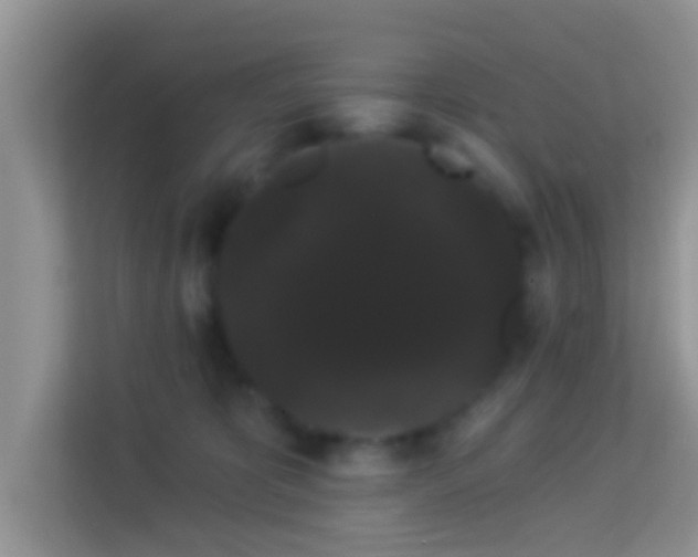 X0000113980325200910091323