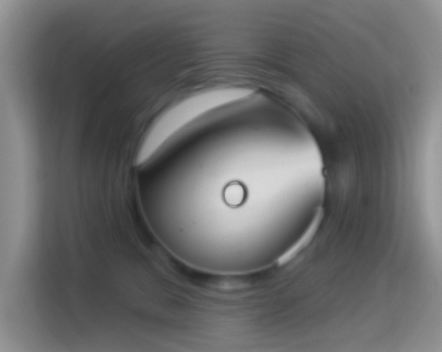 X0000113980327200910091323