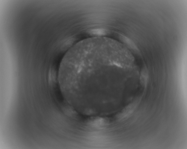 X0000113980330200910091323