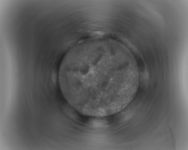 X0000113980331200910091323