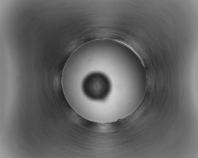 X0000113980333200910091323