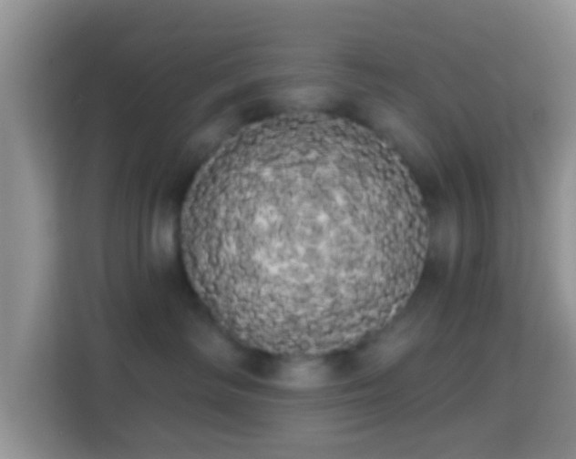 X0000113980334200910091323